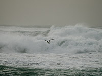 Прогноз погоды на 10 февраля: шторм, сильный ветер, дожди на севере, пыльная буря на юге