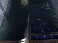 Один из самых уважаемых раввинов США признался в подглядывании за обнаженными женщинами