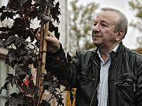 Скончался Евгений Татарский, режиссер