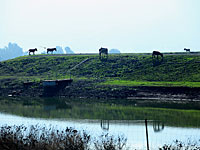 В суд подано обвинительное заключение против 18-го номера в предвыборном списке 