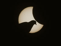 Солнечное затмение наблюдали в Европе и на Ближнем Востоке