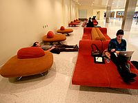 Вооруженный мачете таксист напал на охранников в аэропорту Нового Орлеана