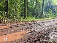 В джунглях Аргентины обнаружено тайное убежище нацистов