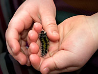 15 детсадовцев попали в больницу после 