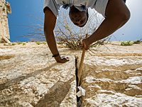 Пасхальная уборка Стены плача
