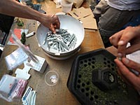 Производство медицинской марихуаны в Израиле