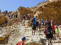 Израиль празднует Песах: пробки на дорогах, национальные парки переполнены