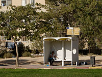 Депутат от партии МЕРЕЦ выдвинула законопроект об общественном транспорте по субботам