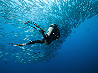 В Эйлате 67-летний аквалангист доставлен в больницу в критическом состоянии