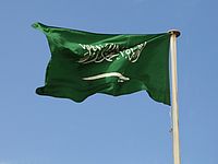 Иранские демонстранты хотели сорвать флаг с саудовского посольства