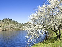 Остров недалеко от Лиссабона продается по цене 4-х комнатной квартиры в Иерусалиме