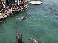 Компанию КЦАА обязали вернуть Эйлату 200 метров пляжа