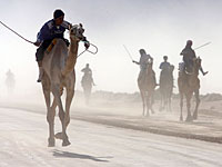 Египетская армия: