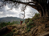 В горах Непала обнаружены тела не менее 50 альпинистов, в том числе иностранцев