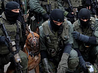 Закрыто дело против полицейских, застреливших жителя Кафр-Каны