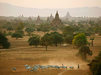 Дорожная авария в Мьянме стала причиной гибели израильтянина