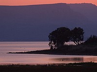 В озере Кинерет обнаружено тело мужчины