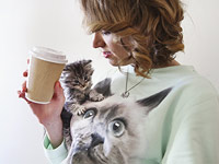 Кошачье кафе: 