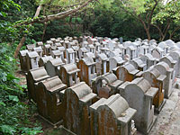 Китайский малыш, похороненный заживо,  выжил, проведя в могиле 8 дней