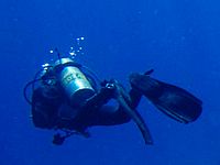 В Эйлате утонул аквалангист