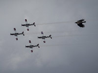 Состоялся парад ВВС, приуроченный к 67-й годовщине создания государства Израиль