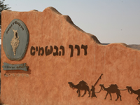 Неизвестные установили палестинские флаги в древнем городе набатеев Халуца