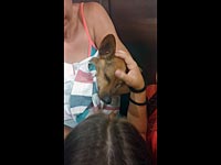 В Ашдоде спасена собака, доведенная хозяйкой до крайнего истощения