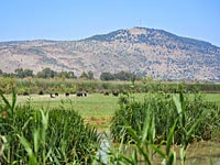 Озеро Хула. Фотопрогулки по Израилю с Павлом Клименко