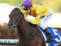 Курьез на скачках в Австралии: жокей финишировал со спущенными штанами