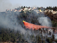 Жара привела к пожарам и к сбоям в расписании поездов и самолетов