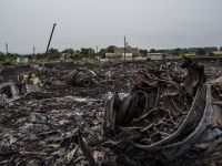 СК РФ назвал ключевого свидетеля по делу о крушении малайзийского лайнера над Донбассом