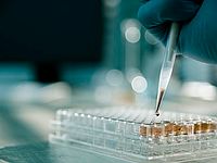 КНДР сообщила о разработке лекарства от СПИДа и эболы