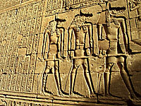 Восемь миллионов замученных щенков: в Египте обнаружен крупнейший собачий некрополь