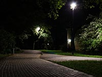 Мэрия Нетании выделила молодежи парки, где можно шуметь ночью