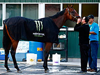 Конь, принадлежащий еврею Ахмеду Зайату, выиграл Тройную корону на скачках в США