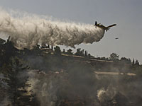 В мошаве Явниэль проводится эвакуация жителей из-за лесного пожара