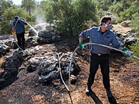 В тушении огня в округе Мате-Биньямин задействованы более 20 пожарных расчетов