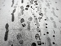 5 июля в Воркуте неожиданно выпал снег