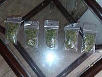 Полиция задержала 40 наркодилеров благодаря деятельности тайного агента в социальных сетях