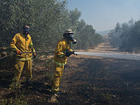 Пожар в заповеднике Мешушим на Голанских высотах