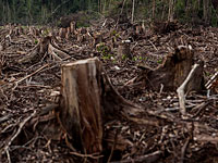 Пекин возмущен: более 150 граждан КНР приговорены судом Мьянмы к пожизненному сроку