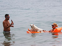 Ученые: ревность повышает риск развития алкоголизма