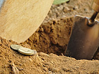 Археолог-любитель обнаружил в окрестностях Люнеберга клад стоимостью $50.000