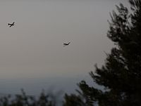 В Галилее и Иорданской долине вспыхнули пожары