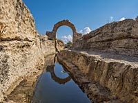 Крокодилий ручей. Фотопрогулки по Израилю с Павлом Клименко