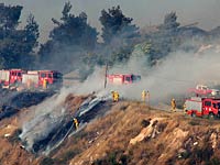 В районе Нацерета горит лес; огонь тушат пять пожарных расчетов