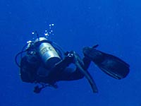 Около берегов Швеции дайверами обнаружена затонувшая 