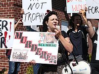 Зимбабве требует экстрадиции дантиста, убившего льва Сесиля