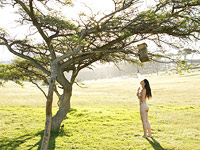 Норвежская художница застряла голой на дереве, снимая инсталляцию. ВИДЕО