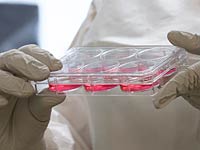 Ученые полагают, что нашли вакцину от вируса Эболы